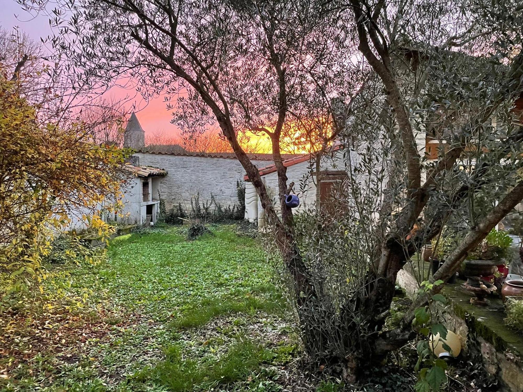 Appartement Sous L Olivier